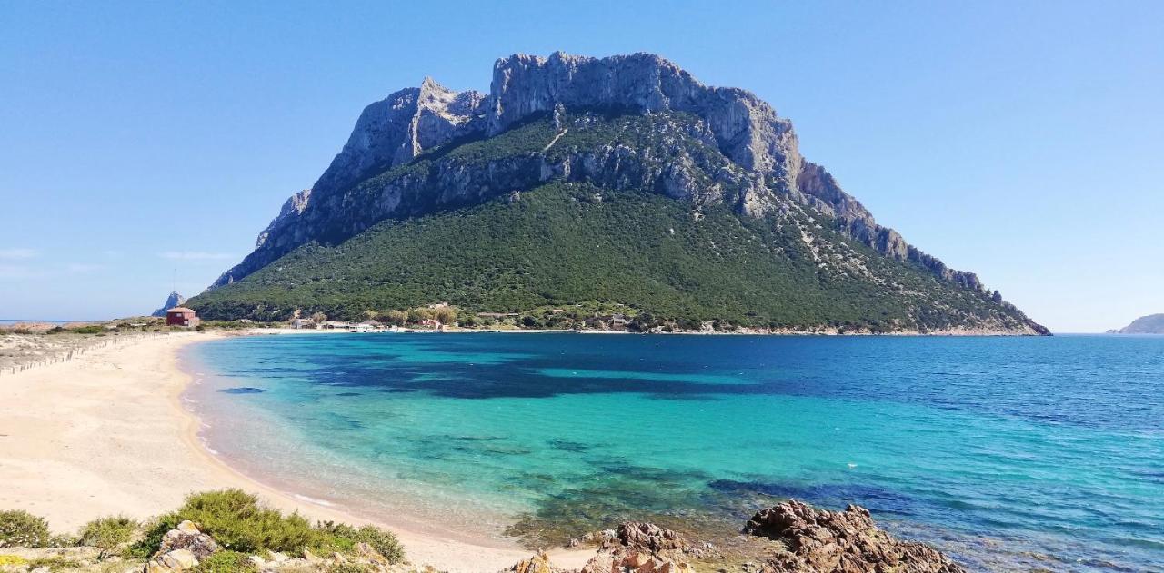 Iss Travel, Le Carrube Two Bedrooms Apartments With Air Conditioning San Teodoro  Exterior foto